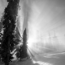 Frozen mist